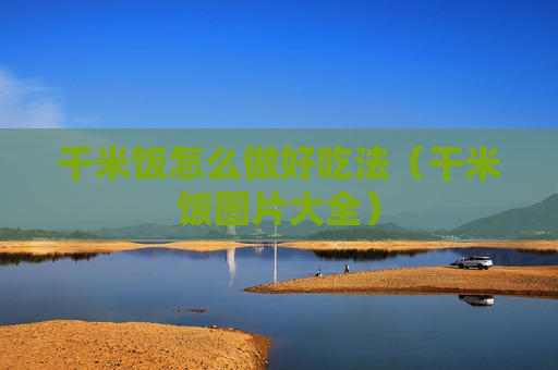 干米饭怎么做好吃法（干米饭图片大全）