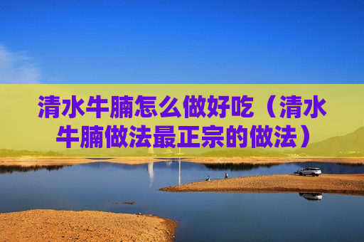 清水牛腩怎么做好吃（清水牛腩做法最正宗的做法）