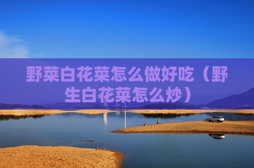 野菜白花菜怎么做好吃（野生白花菜怎么炒）