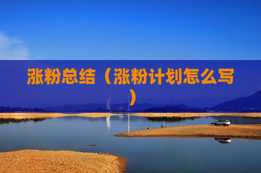 涨粉总结（涨粉计划怎么写）