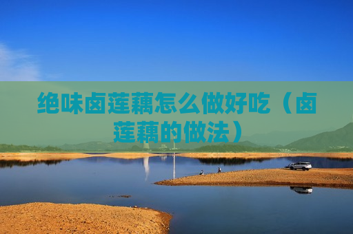 绝味卤莲藕怎么做好吃（卤莲藕的做法）