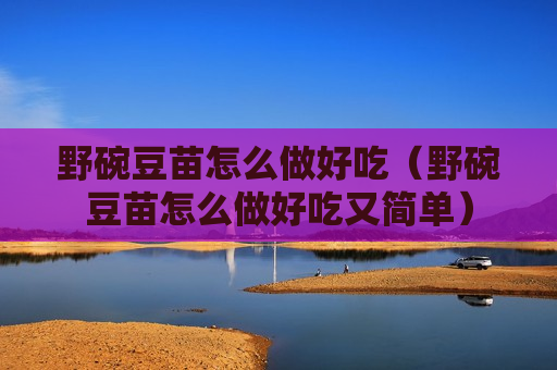 野碗豆苗怎么做好吃（野碗豆苗怎么做好吃又简单）