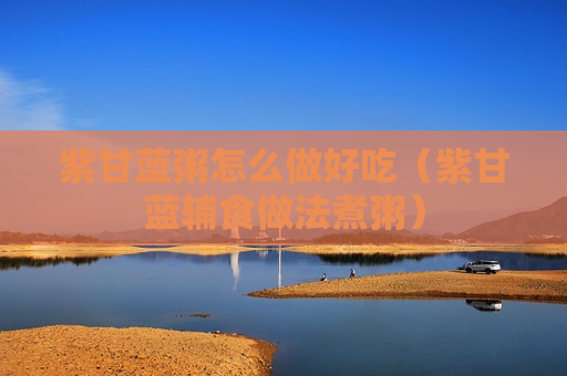 紫甘蓝粥怎么做好吃（紫甘蓝辅食做法煮粥）