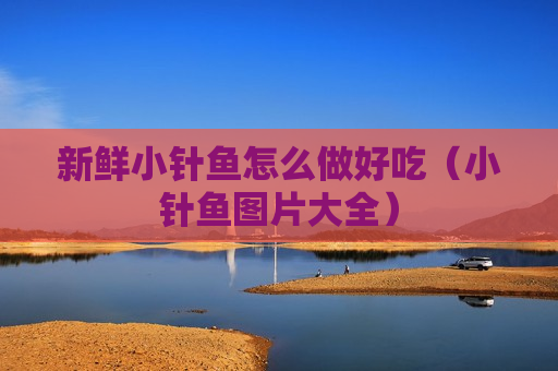新鲜小针鱼怎么做好吃（小针鱼图片大全）