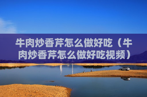 牛肉炒香芹怎么做好吃（牛肉炒香芹怎么做好吃视频）