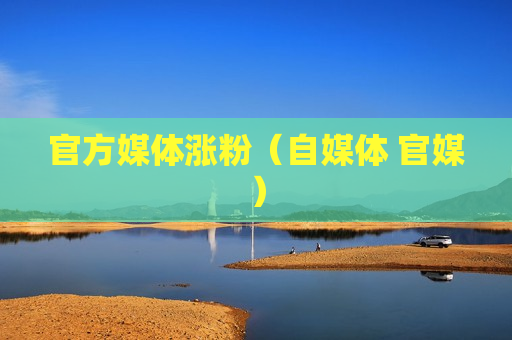 官方媒体涨粉（自媒体 官媒）