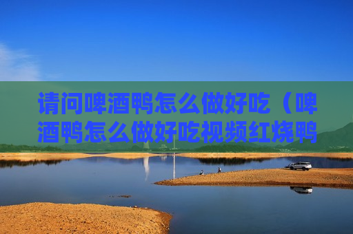 请问啤酒鸭怎么做好吃（啤酒鸭怎么做好吃视频红烧鸭子怎么做?）