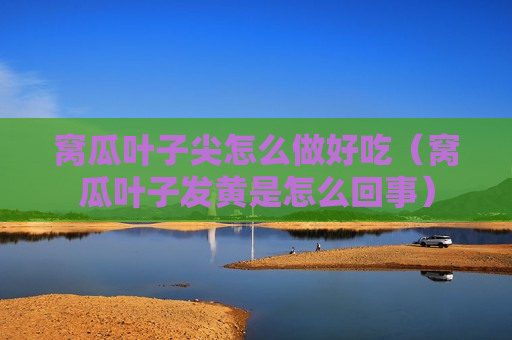 窝瓜叶子尖怎么做好吃（窝瓜叶子发黄是怎么回事）