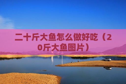 二十斤大鱼怎么做好吃（20斤大鱼图片）