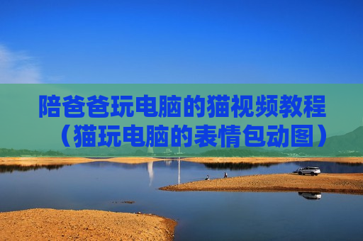 陪爸爸玩电脑的猫视频教程（猫玩电脑的表情包动图）