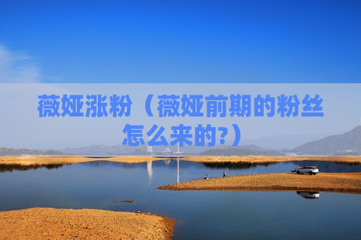薇娅涨粉（薇娅前期的粉丝怎么来的?）