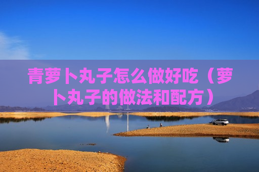 青萝卜丸子怎么做好吃（萝卜丸子的做法和配方）