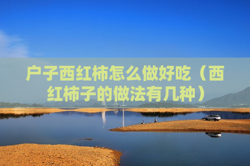 户子西红柿怎么做好吃（西红柿子的做法有几种）