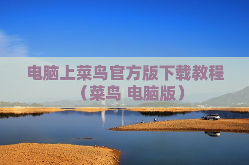 电脑上菜鸟官方版下载教程（菜鸟 电脑版）