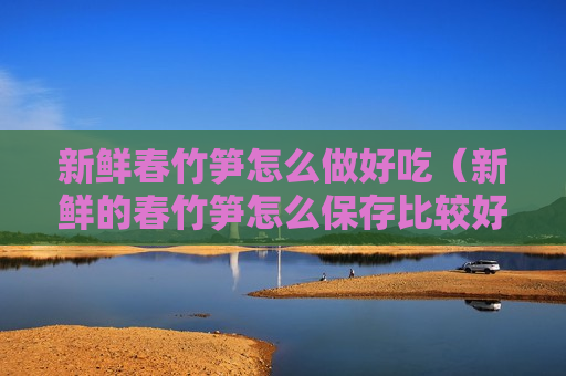 新鲜春竹笋怎么做好吃（新鲜的春竹笋怎么保存比较好一点）