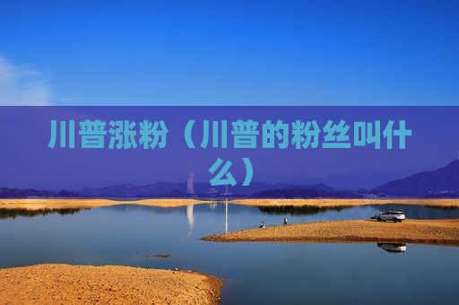 川普涨粉（川普的粉丝叫什么）