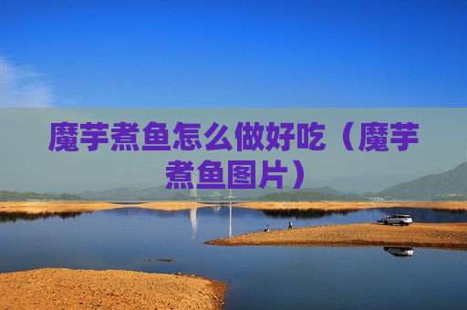 魔芋煮鱼怎么做好吃（魔芋煮鱼图片）