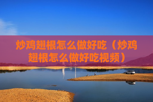 炒鸡翅根怎么做好吃（炒鸡翅根怎么做好吃视频）