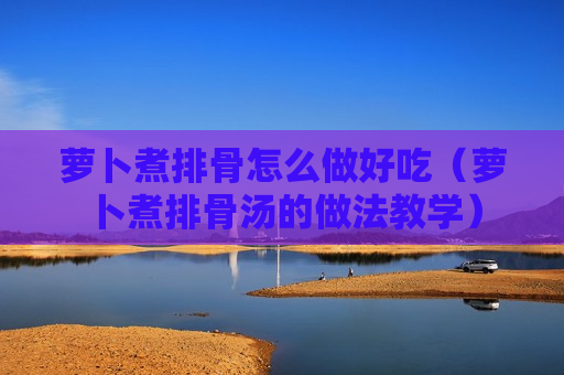 萝卜煮排骨怎么做好吃（萝卜煮排骨汤的做法教学）