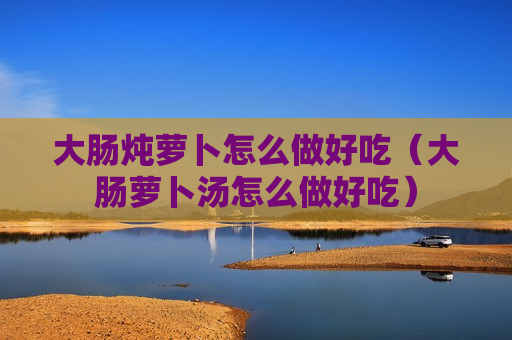 大肠炖萝卜怎么做好吃（大肠萝卜汤怎么做好吃）