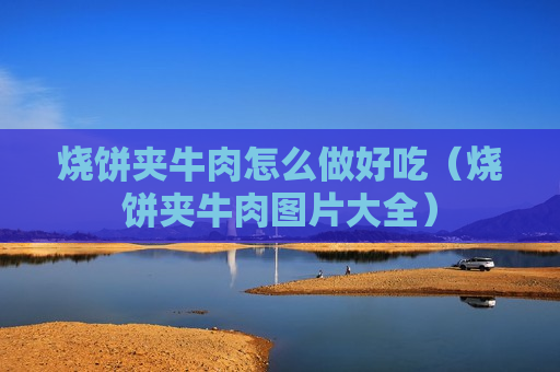 烧饼夹牛肉怎么做好吃（烧饼夹牛肉图片大全）