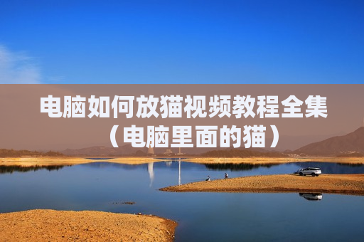 电脑如何放猫视频教程全集（电脑里面的猫）