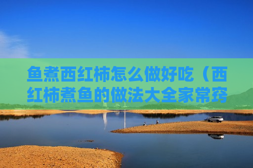 鱼煮西红柿怎么做好吃（西红柿煮鱼的做法大全家常窍门）
