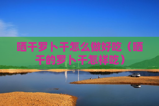 晒干罗卜干怎么做好吃（晒干的罗卜干怎样吃）