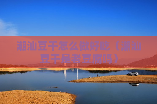 潮汕豆干怎么做好吃（潮汕豆干是老豆腐吗）