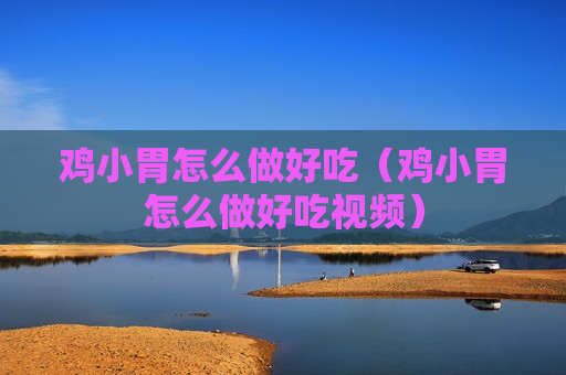 鸡小胃怎么做好吃（鸡小胃怎么做好吃视频）