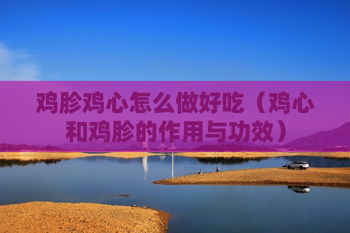鸡胗鸡心怎么做好吃（鸡心和鸡胗的作用与功效）