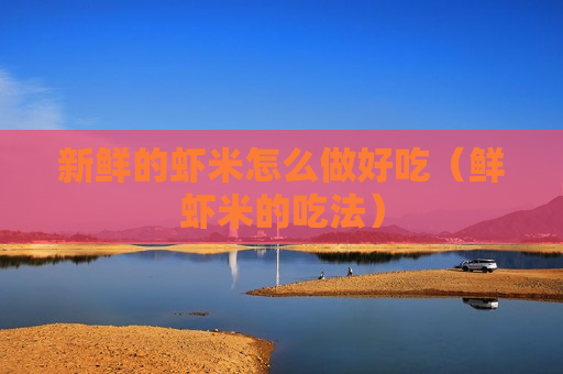 新鲜的虾米怎么做好吃（鲜虾米的吃法）