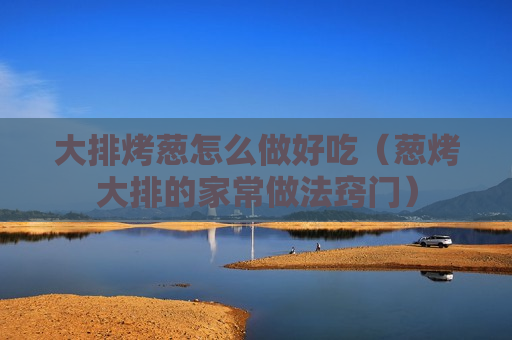 大排烤葱怎么做好吃（葱烤大排的家常做法窍门）