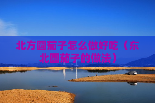 北方圆茄子怎么做好吃（东北圆茄子的做法）