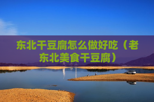 东北干豆腐怎么做好吃（老东北美食干豆腐）