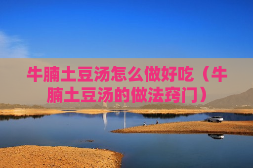 牛腩土豆汤怎么做好吃（牛腩土豆汤的做法窍门）