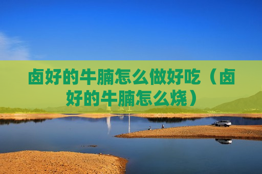 卤好的牛腩怎么做好吃（卤好的牛腩怎么烧）