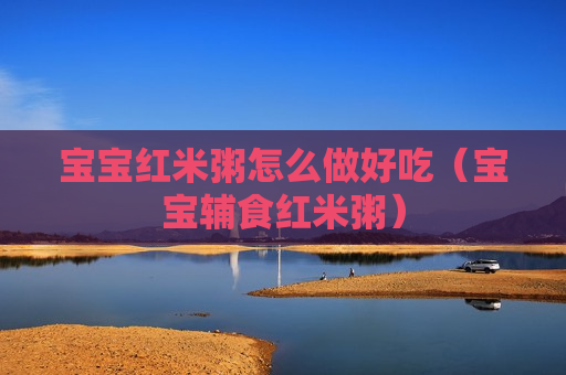 宝宝红米粥怎么做好吃（宝宝辅食红米粥）