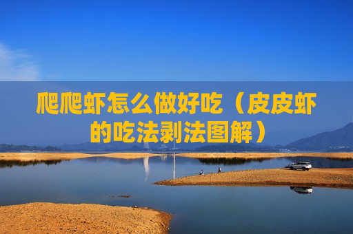 爬爬虾怎么做好吃（皮皮虾的吃法剥法图解）