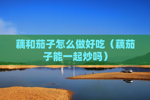 藕和茄子怎么做好吃（藕茄子能一起炒吗）