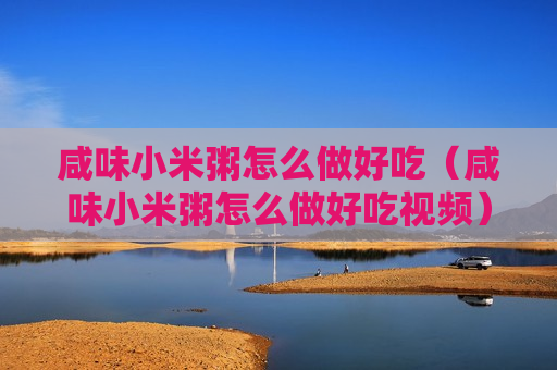 咸味小米粥怎么做好吃（咸味小米粥怎么做好吃视频）