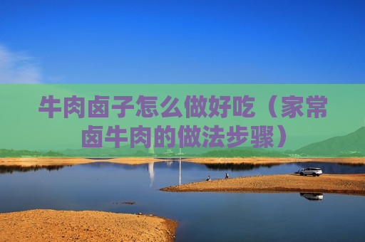 牛肉卤子怎么做好吃（家常卤牛肉的做法步骤）