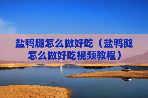 盐鸭腿怎么做好吃（盐鸭腿怎么做好吃视频教程）