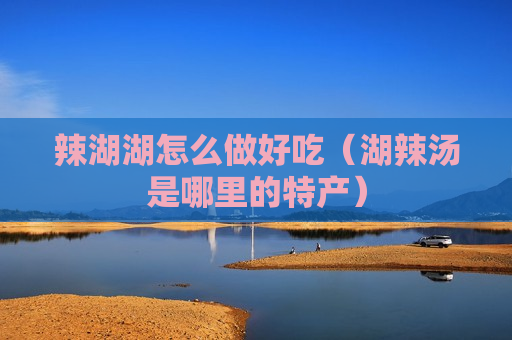 辣湖湖怎么做好吃（湖辣汤是哪里的特产）