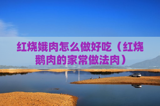 红烧娥肉怎么做好吃（红烧鹅肉的家常做法肉）