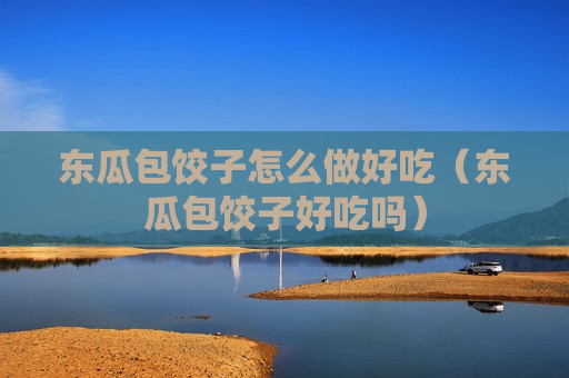 东瓜包饺子怎么做好吃（东瓜包饺子好吃吗）