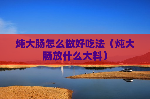 炖大肠怎么做好吃法（炖大肠放什么大料）