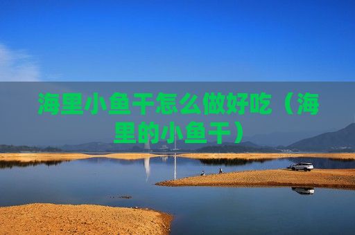 海里小鱼干怎么做好吃（海里的小鱼干）