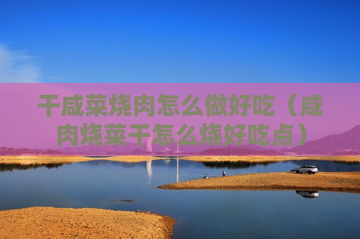 干咸菜烧肉怎么做好吃（咸肉烧菜干怎么烧好吃点）