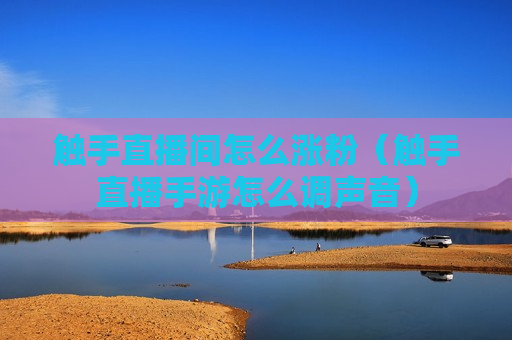 触手直播间怎么涨粉（触手直播手游怎么调声音）